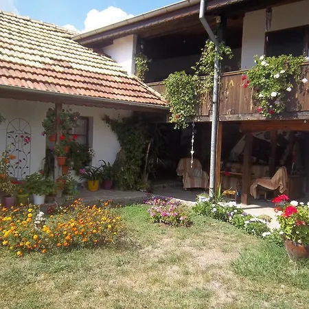 House Gabri Pensiune