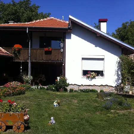 Pensiune House Gabri