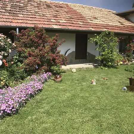 House Gabri Ovstrovce
